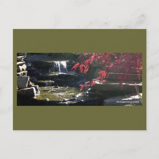 Carte Postale Koi Pond à HFSC (Devant)