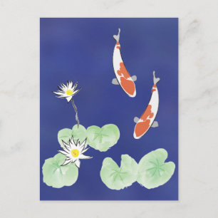 Carte Postale Koi Pond - Arrière - plan bleu