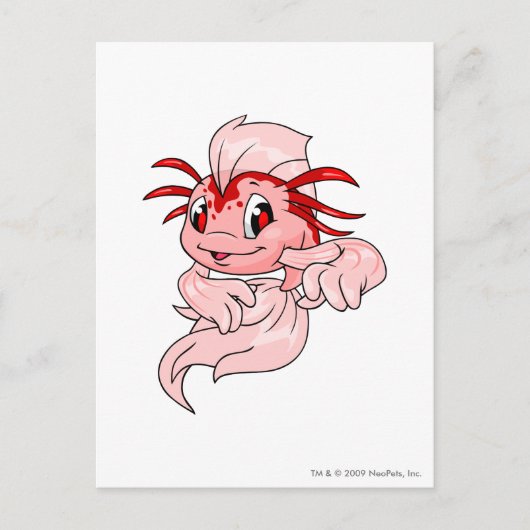Carte Postale Koi Red (Devant)