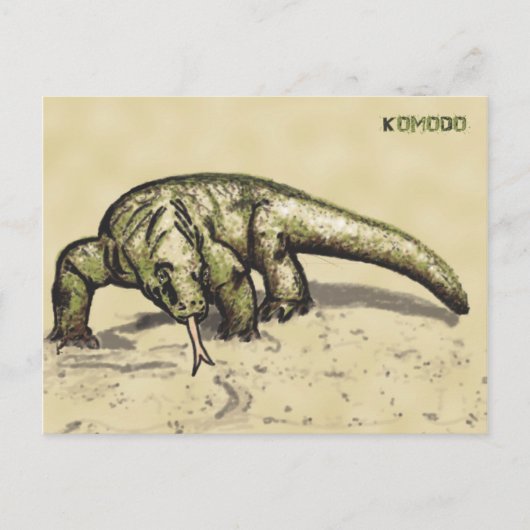 Carte Postale Komodo (Devant)