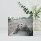 Carte Postale Komodo Dragon (Debout devant)
