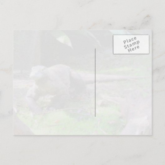 Carte postale Komodo Dragon (Dos)
