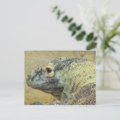 Carte Postale Komodo Dragon (Debout devant)