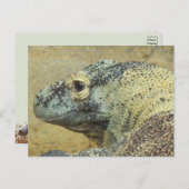 Carte Postale Komodo Dragon (Devant / Derrière)