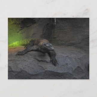 Carte Postale Komodo Dragon