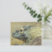Carte Postale Komodo Dragon (Debout devant)