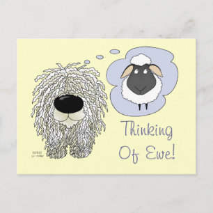 Carte Postale Komondor - Penser à l'Ewe
