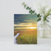 Carte postale Konza Prairie Path (Debout devant)