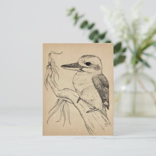 Carte Postale Kookaburra (Debout devant)