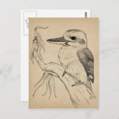 Carte Postale Kookaburra (Devant / Derrière)