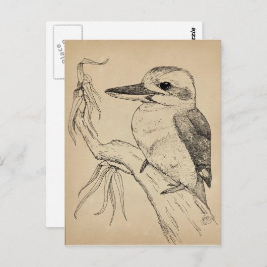 Carte Postale Kookaburra (Devant / Derrière)