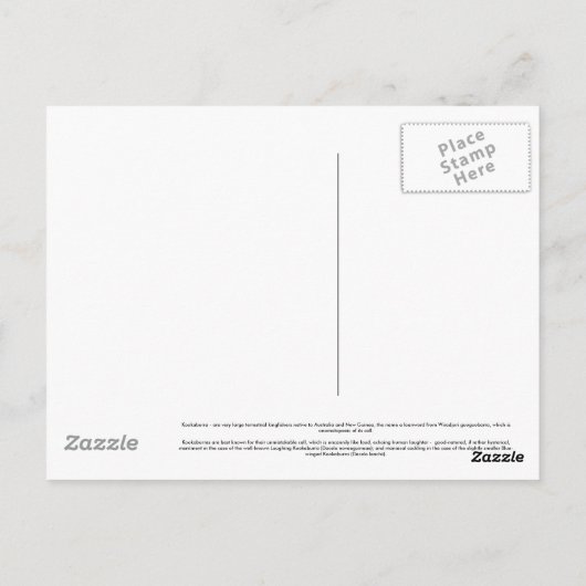 Carte postale Kookaburra (Dos)