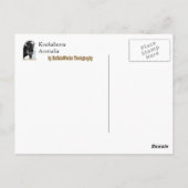 Carte postale Kookaburra (Dos)