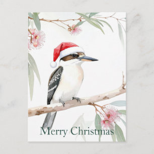 Carte Postale Kookaburra australien chapeau de Père Noël Joyeux