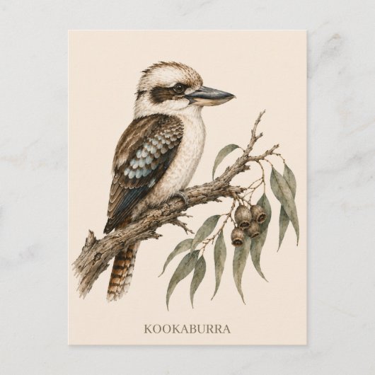Carte postale Kookaburra | Édition Bush (Devant)