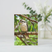 CARTE POSTALE KOOKABURRA QUEENSLAND AUSTRALIE (Debout devant)