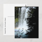 Carte postale Koosah Falls Oregon Waterfall (Devant / Derrière)