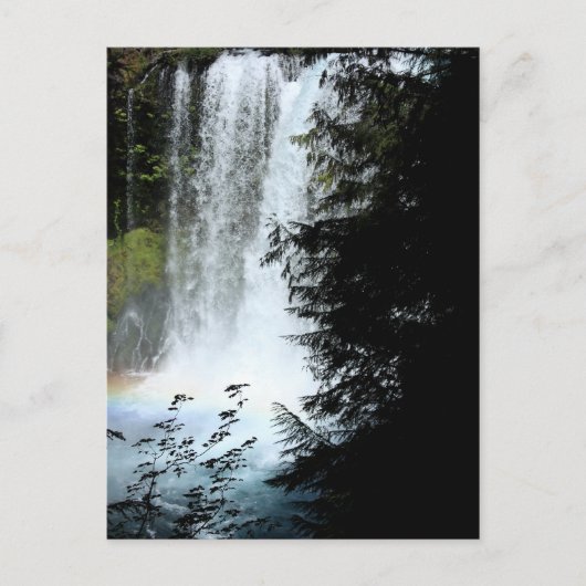 Carte postale Koosah Falls Oregon Waterfall (Devant)