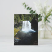 Carte postale Koosah Falls Oregon Waterfall (Debout devant)