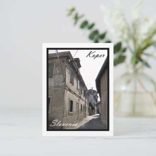 Carte Postale Koper (Debout devant)