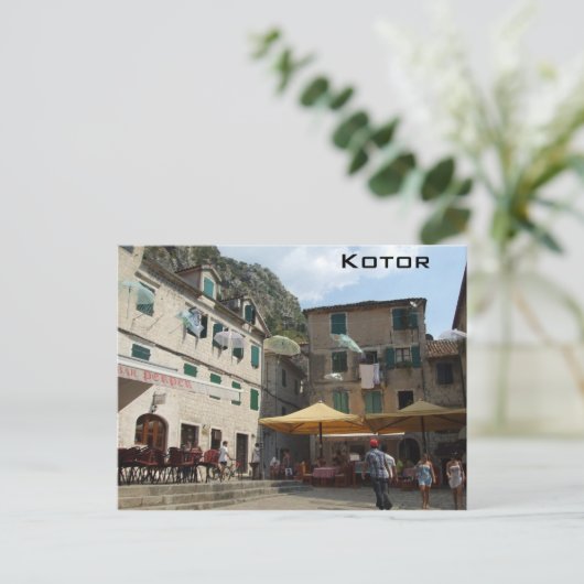 Carte Postale Kotor (Debout devant)