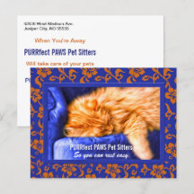 Kouch Kitty Custom Pet Sitter's Publicité Postca