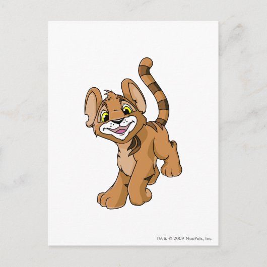 Carte Postale Kougra Brown (Devant)