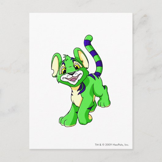 Carte Postale Kougra Green (Devant)