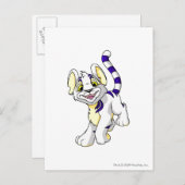 Carte Postale Kougra White (Devant / Derrière)