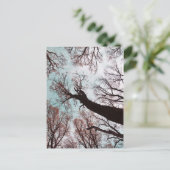 Carte Postale KRAFT der BÄUME (Debout devant)