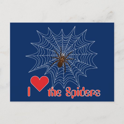 Carte Postale Kreuzspinne im Netz (Devant)