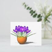 Carte Postale Krokusse (Debout devant)