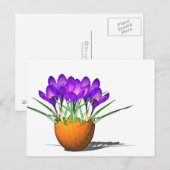 Carte Postale Krokusse (Devant / Derrière)