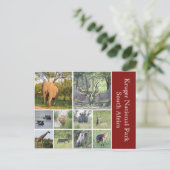 Carte Postale kruger (Debout devant)