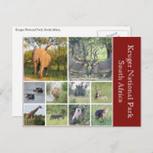 Carte Postale kruger (Devant / Derrière)