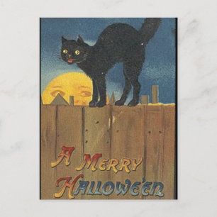 Carte Postale KRW Vintage Halloween Black Cat