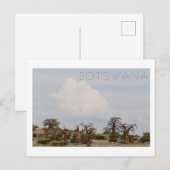 Carte Postale Kubu Island Baobab Tree Baobabs Botswana Scenery (Devant / Derrière)
