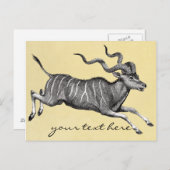 Carte postale Kudu vintage (Devant / Derrière)