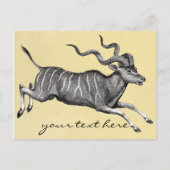 Carte postale Kudu vintage (Devant)