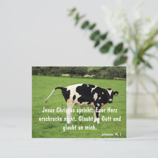 Carte Postale Kuh (Debout devant)