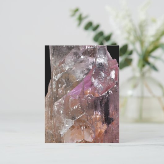 Carte Postale Kunzite (Debout devant)