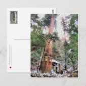 Carte Postale Kurama-dera (Yoshitsune-do hall) (Devant / Derrière)