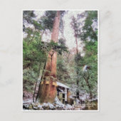 Carte Postale Kurama-dera (Yoshitsune-do hall) (Devant)