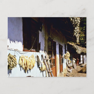 Carte Postale Kyongsangnam-Do - Village traditionnel de Chonghak