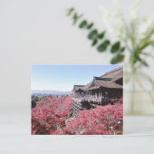 Carte Postale Kyoto (Debout devant)