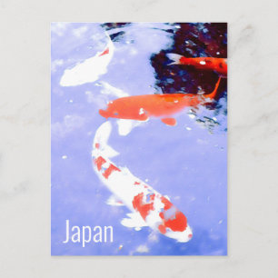 Carte Postale Kyoto Japon Kohaku koi carpe Voyage japonais