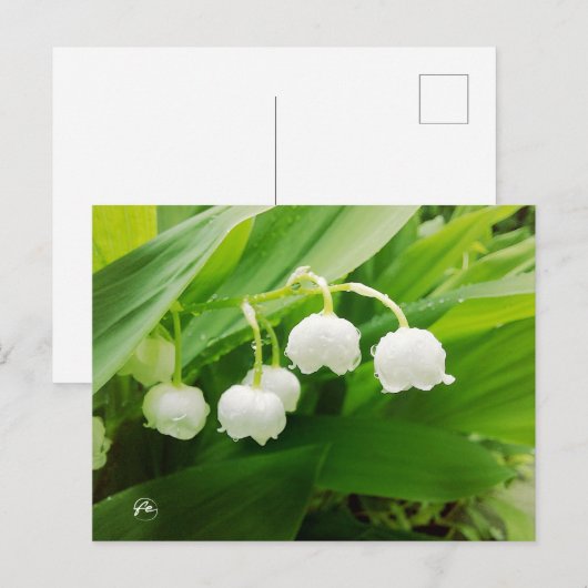 Carte Postale la (Devant / Derrière)