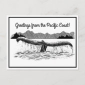 Carte Postale La baleine (Devant)