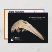 Carte Postale La baleine gris Arroyo 2010 - Empreintes d'une bal (Devant / Derrière)