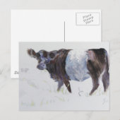 Carte Postale La bande blanche (Devant / Derrière)